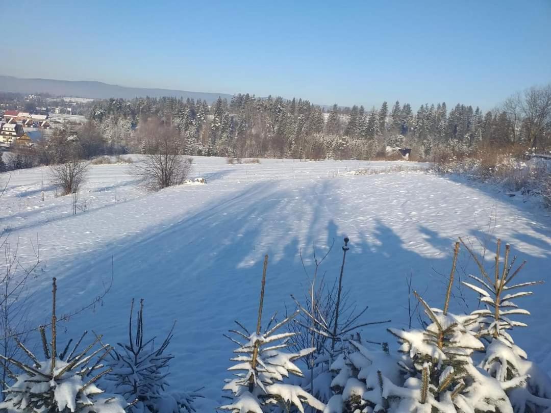 Z Widokiem * Szaflary